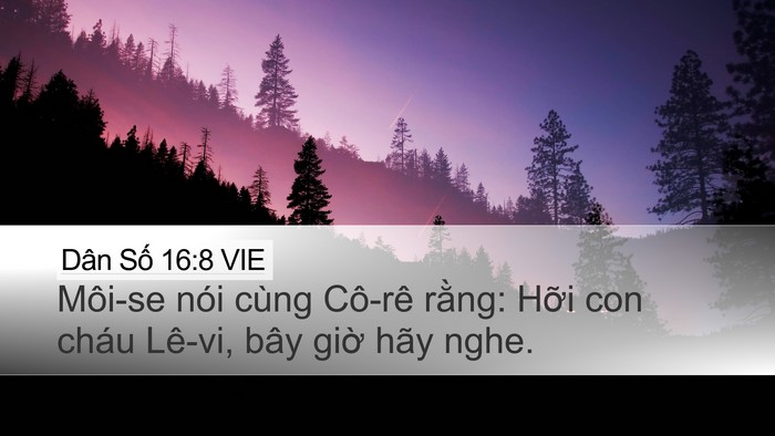 Dân Số 16:8 VIE Desktop Wallpaper - Môi-se nói cùng Cô-rê rằng: Hỡi con - Desktop Bible Verse Wallpaper