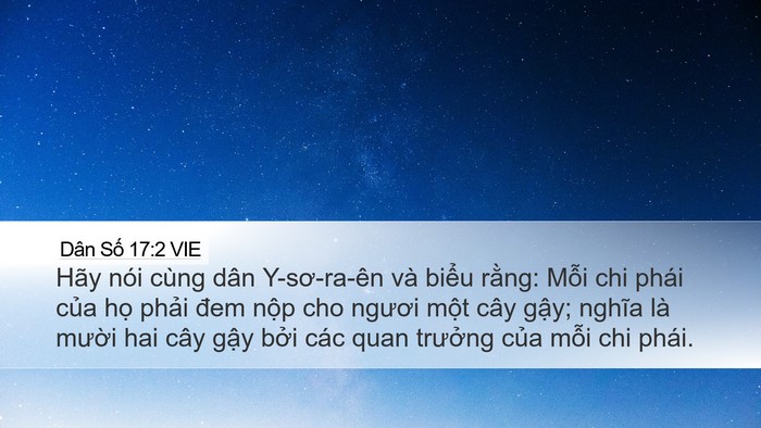 Dân Số 17:2 VIE Desktop Wallpaper - Hãy nói cùng dân Y-sơ-ra-ên và biểu - Desktop Bible Verse Wallpaper