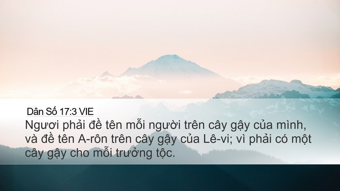Dân Số 17:3 VIE Desktop Wallpaper - Ngươi phải đề tên mỗi người trên - Desktop Bible Verse Wallpaper