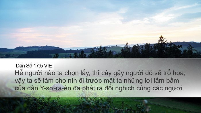 Dân Số 17:5 VIE Bible Verse Image