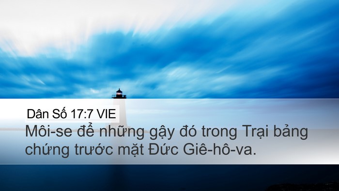 Dân Số 17:7 VIE Desktop Wallpaper - Môi-se để những gậy đó trong Trại - Desktop Bible Verse Wallpaper