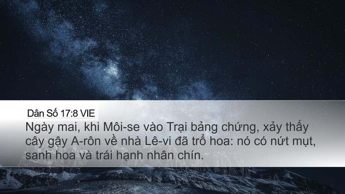 Dân Số 17:8 VIE Bible Verse Image