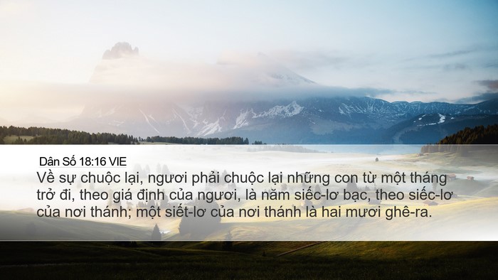 Dân Số 18:16 VIE Bible Verse Image