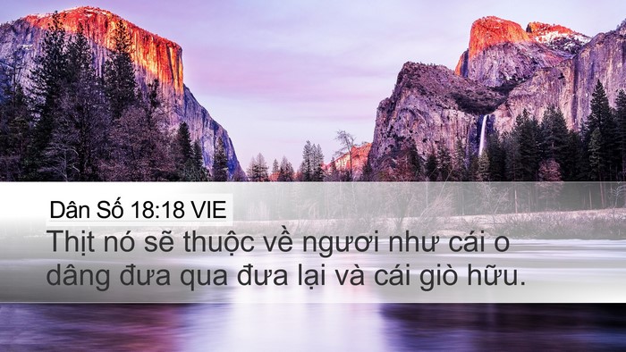 Dân Số 18:18 VIE Bible Verse Image