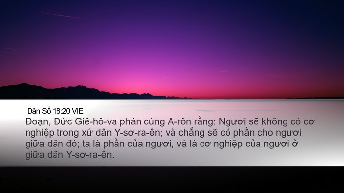 Dân Số 18:20 VIE Bible Verse Image