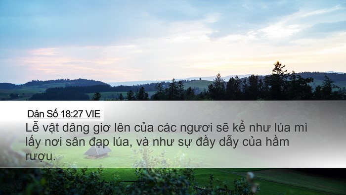 Dân Số 18:27 VIE Desktop Wallpaper - Lễ vật dâng giơ lên của các ngươi - Desktop Bible Verse Wallpaper