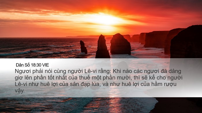 Dân Số 18:30 VIE Bible Verse Image