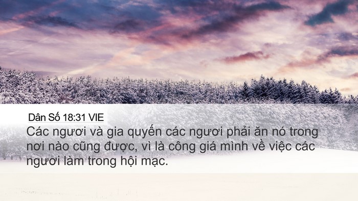 Dân Số 18:31 VIE Desktop Wallpaper - Các ngươi và gia quyến các ngươi phải - Desktop Bible Verse Wallpaper