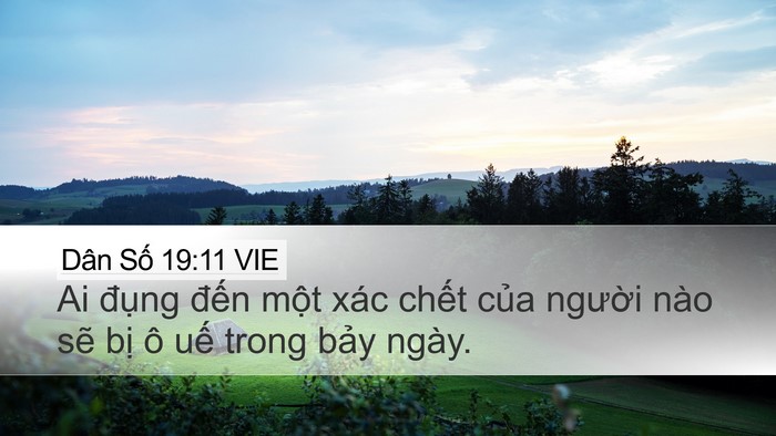 Dân Số 19:11 VIE Bible Verse Image