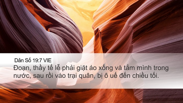 Dân Số 19:7 VIE Bible Verse Image