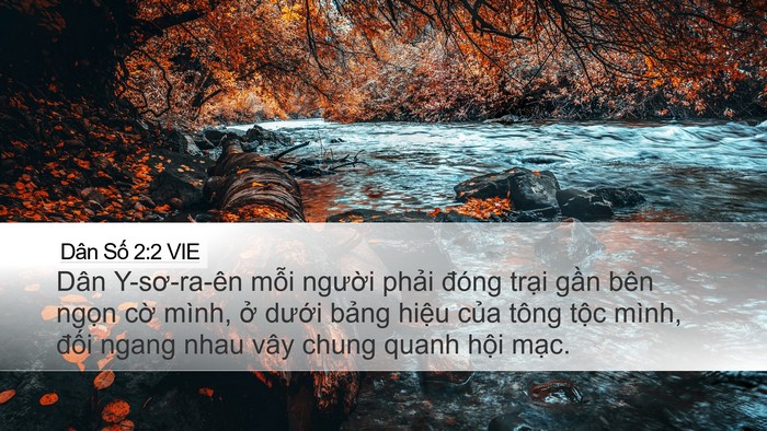 Dân Số 2:2 VIE Bible Verse Image