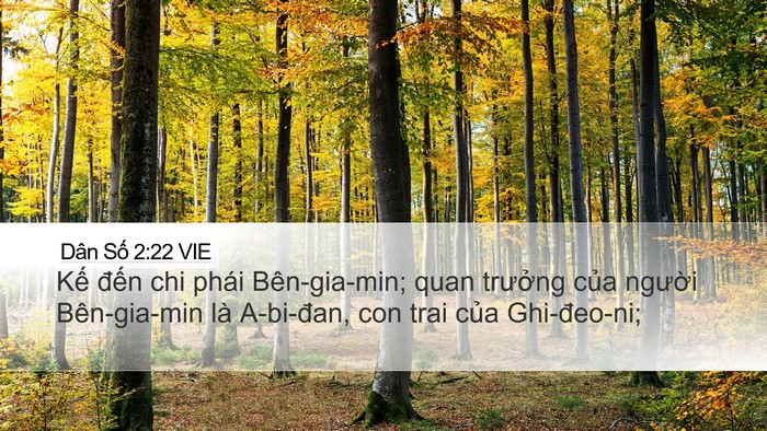 Dân Số 2:22 VIE Desktop Wallpaper - Kế đến chi phái Bên-gia-min; quan - Desktop Bible Verse Wallpaper