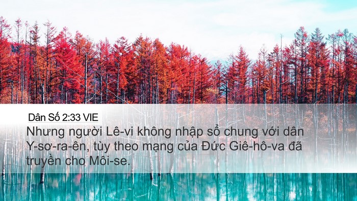 Dân Số 2:33 VIE Bible Verse Image