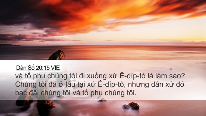 Dân Số 20:15 VIE Desktop Wallpaper - và tổ phụ chúng tôi đi xuống xứ - Desktop Bible Verse Wallpaper