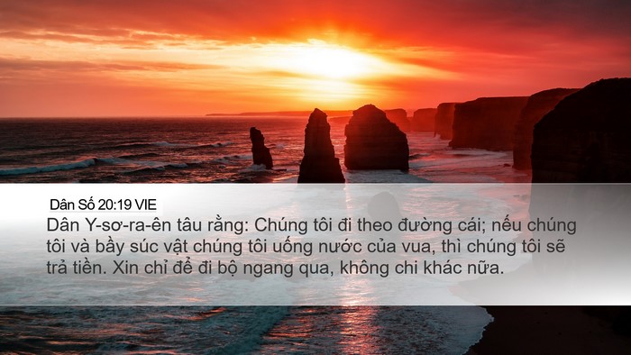 Dân Số 20:19 VIE Desktop Wallpaper - Dân Y-sơ-ra-ên tâu rằng: Chúng tôi đi - Desktop Bible Verse Wallpaper