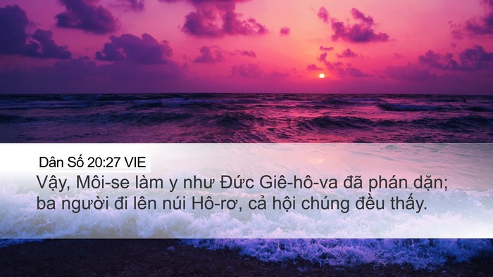Dân Số 20:27 VIE Desktop Wallpaper - Vậy, Môi-se làm y như Đức Giê-hô-va - Desktop Bible Verse Wallpaper