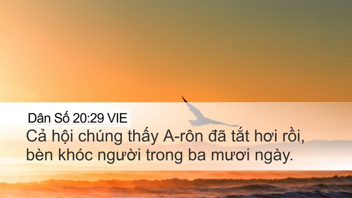 Dân Số 20:29 VIE Desktop Wallpaper - Cả hội chúng thấy A-rôn đã tắt hơi - Desktop Bible Verse Wallpaper