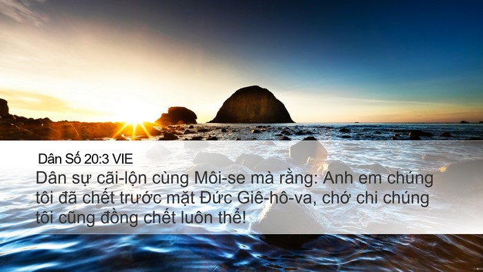 Dân Số 20:3 VIE Bible Verse Image
