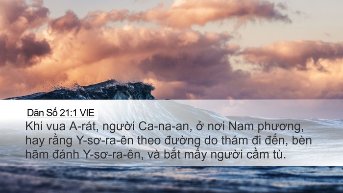 Dân Số 21:1 VIE Bible Verse Image