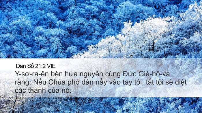 Dân Số 21:2 VIE Desktop Wallpaper - Y-sơ-ra-ên bèn hứa nguyện cùng Đức - Desktop Bible Verse Wallpaper