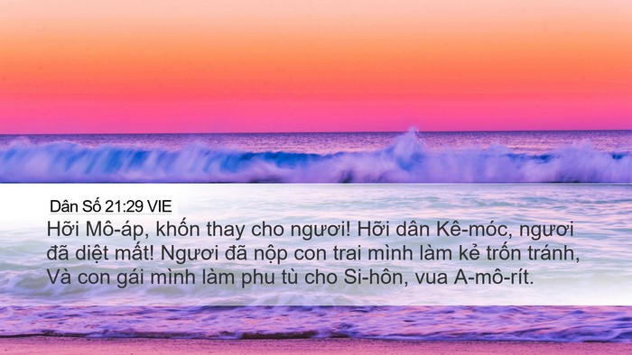 Dân Số 21:29 VIE Bible Verse Image
