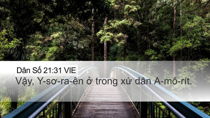 Dân Số 21:31 VIE Bible Verse Image