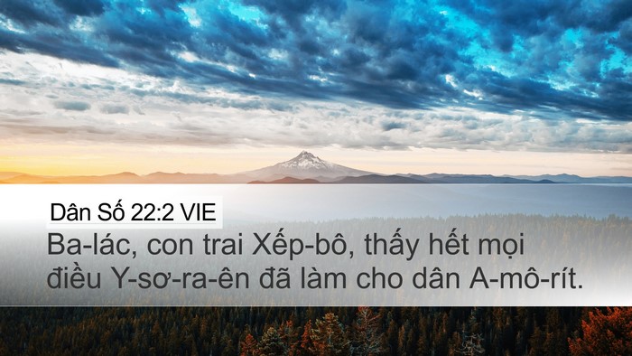 Dân Số 22:2 VIE Bible Verse Image