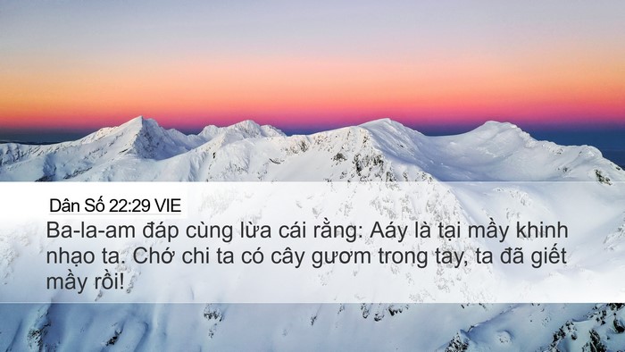 Dân Số 22:29 VIE Desktop Wallpaper - Ba-la-am đáp cùng lừa cái rằng: Aáy là - Desktop Bible Verse Wallpaper