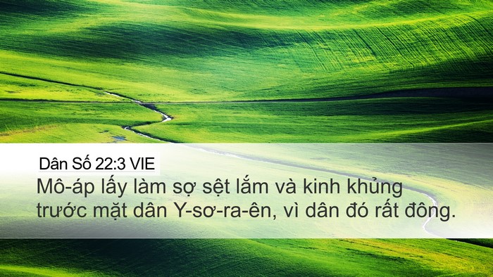 Dân Số 22:3 VIE Bible Verse Image