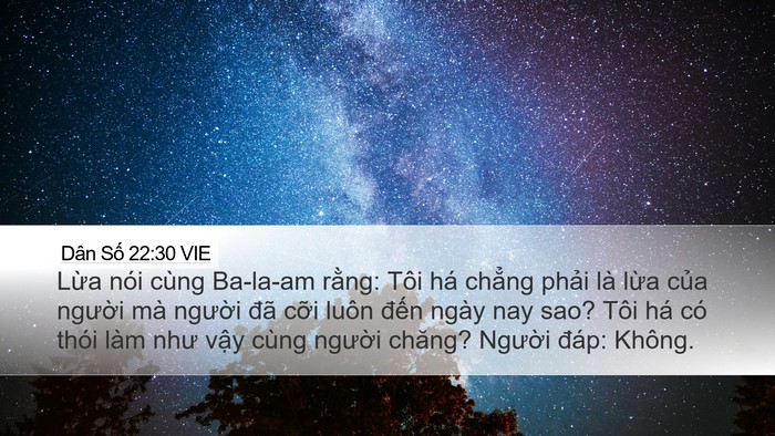 Dân Số 22:30 VIE Desktop Wallpaper - Lừa nói cùng Ba-la-am rằng: Tôi há - Desktop Bible Verse Wallpaper