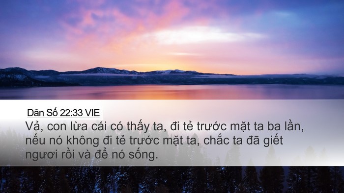 Dân Số 22:33 VIE Desktop Wallpaper - Vả, con lừa cái có thấy ta, đi tẻ - Desktop Bible Verse Wallpaper
