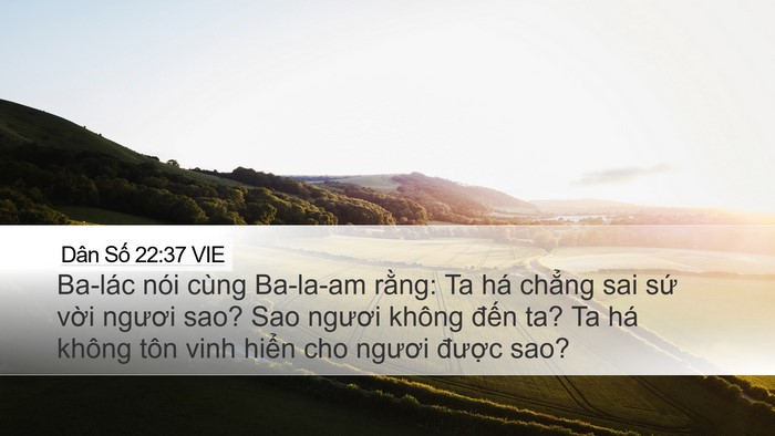 Dân Số 22:37 VIE Bible Verse Image