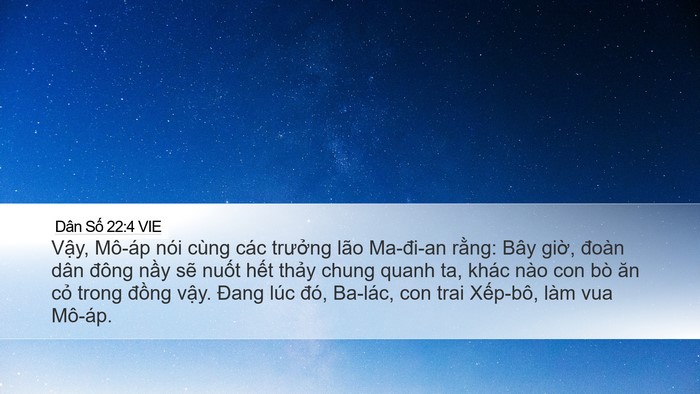 Dân Số 22:4 VIE Desktop Wallpaper - Vậy, Mô-áp nói cùng các trưởng lão - Desktop Bible Verse Wallpaper
