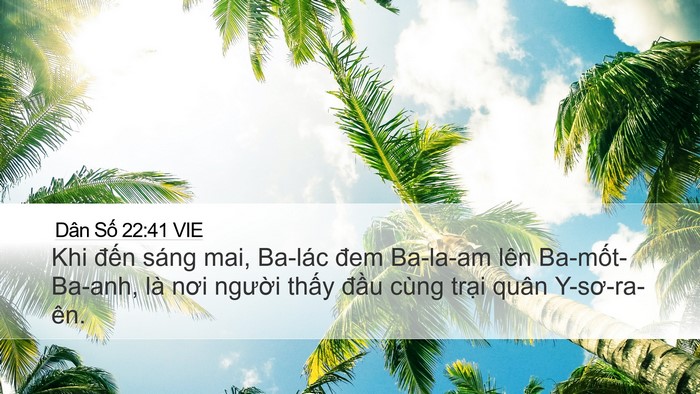 Dân Số 22:41 VIE Bible Verse Image