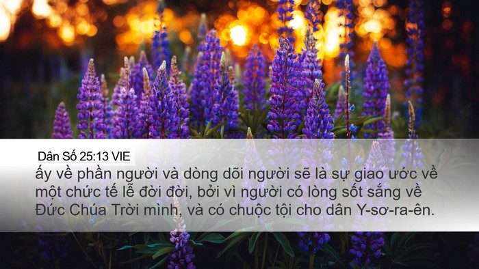 Dân Số 25:13 VIE Bible Verse Image
