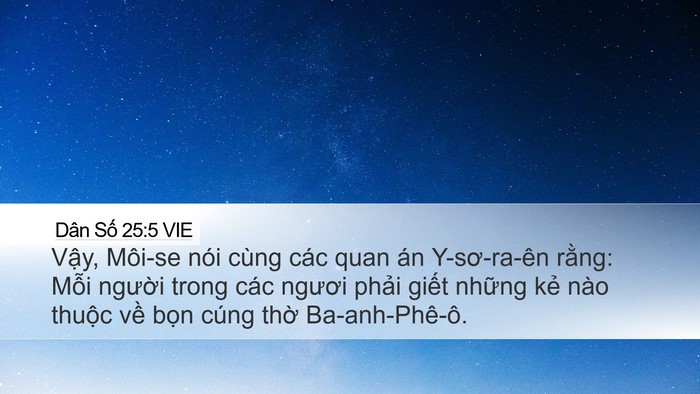Dân Số 25:5 VIE Bible Verse Image