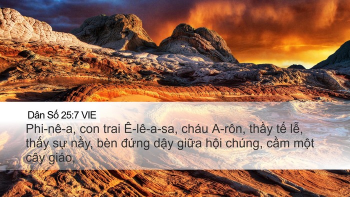 Dân Số 25:7 VIE Bible Verse Image