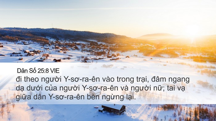 Dân Số 25:8 VIE Bible Verse Image