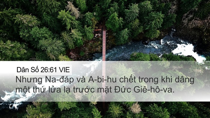 Dân Số 26:61 VIE Desktop Wallpaper - Nhưng Na-đáp và A-bi-hu chết trong khi - Desktop Bible Verse Wallpaper