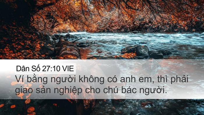 Dân Số 27:10 VIE Desktop Wallpaper - Ví bằng người không có anh em, thì - Desktop Bible Verse Wallpaper