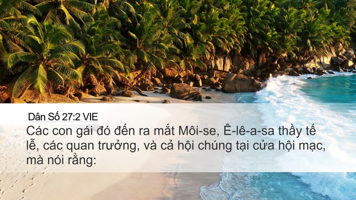 Dân Số 27:2 VIE Desktop Wallpaper - Các con gái đó đến ra mắt Môi-se, - Desktop Bible Verse Wallpaper