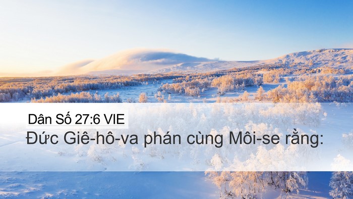 Dân Số 27:6 VIE Desktop Wallpaper - Đức Giê-hô-va phán cùng Môi-se - Desktop Bible Verse Wallpaper