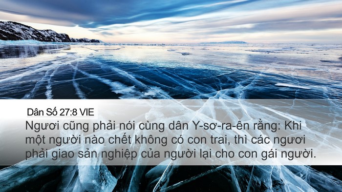 Dân Số 27:8 VIE Desktop Wallpaper - Ngươi cũng phải nói cùng dân Y-sơ-ra-ên - Desktop Bible Verse Wallpaper