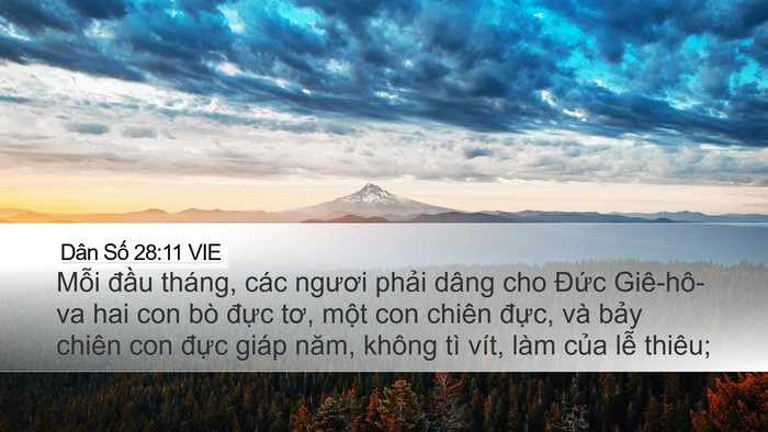 Dân Số 28:11 VIE Bible Verse Image