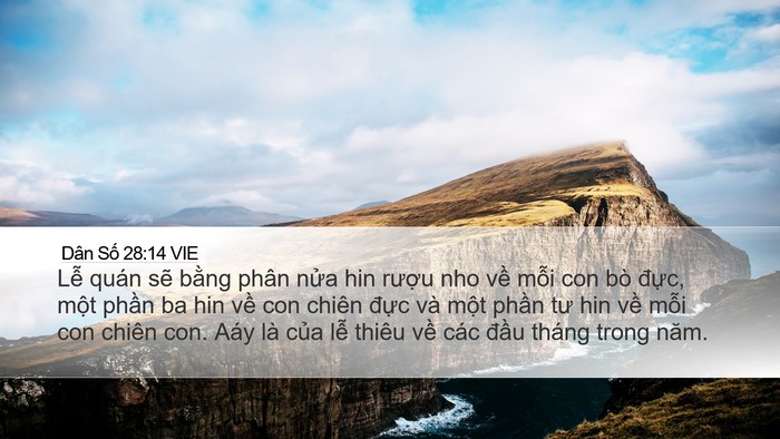 Dân Số 28:14 VIE Bible Verse Image