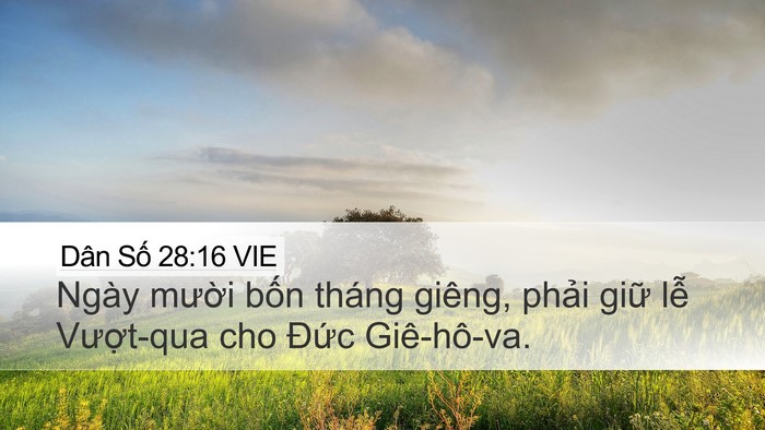 Dân Số 28:16 VIE Bible Verse Image
