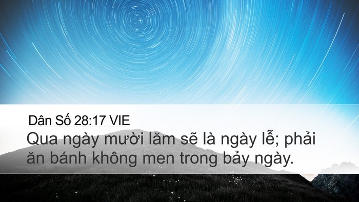 Dân Số 28:17 VIE Desktop Wallpaper - Qua ngày mười lăm sẽ là ngày lễ; - Desktop Bible Verse Wallpaper