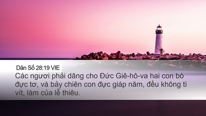 Dân Số 28:19 VIE Bible Verse Image
