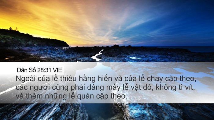 Dân Số 28:31 VIE Bible Verse Image