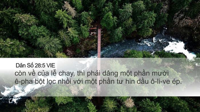 Dân Số 28:5 VIE Bible Verse Image